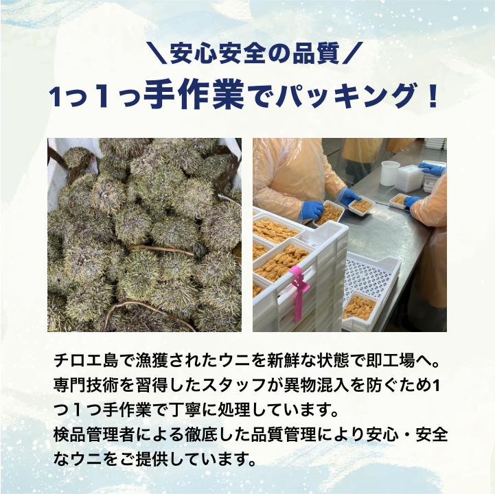おうちでお寿司屋さん気分!チリ産 ウニ 100g×3