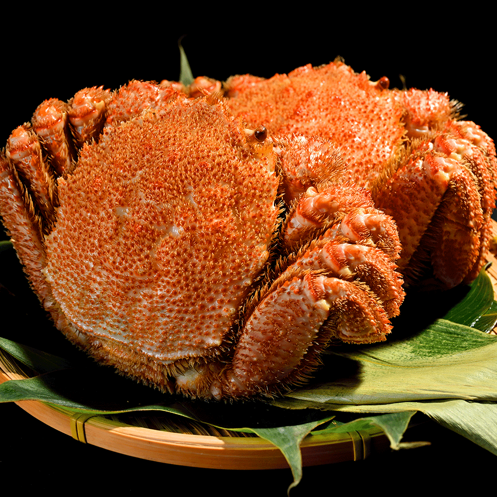 北海道産ボイル毛がに姿　2尾/1kg