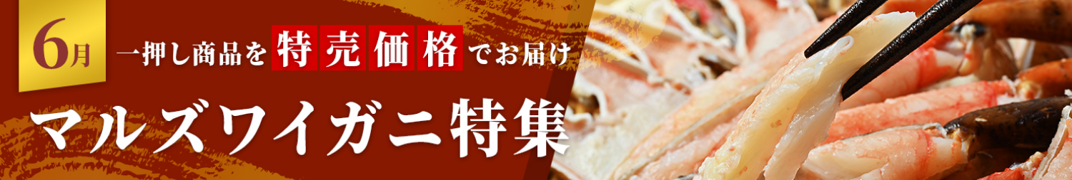 今月の一押し商品