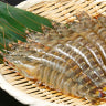 アイコン